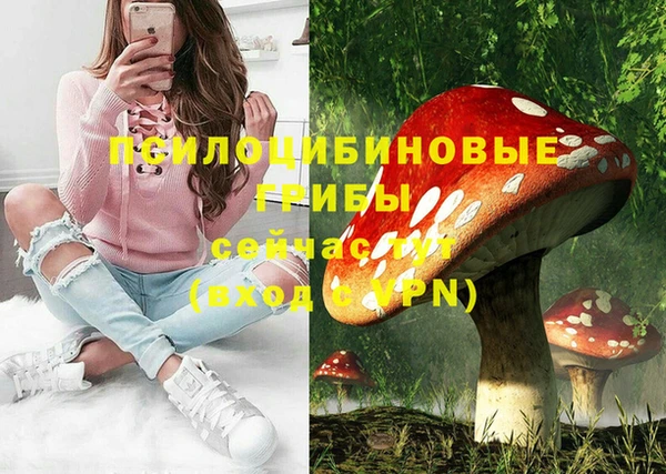 сатива Дмитровск