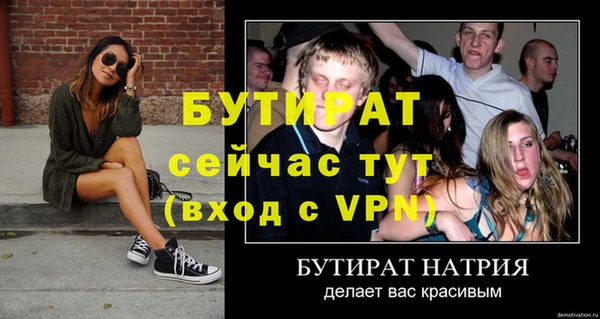 сатива Дмитровск