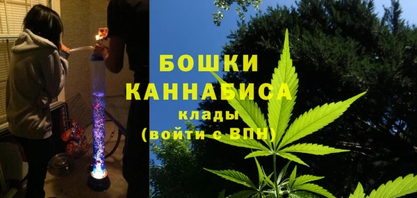 сатива Дмитровск