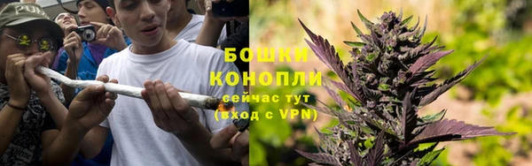 сатива Дмитровск